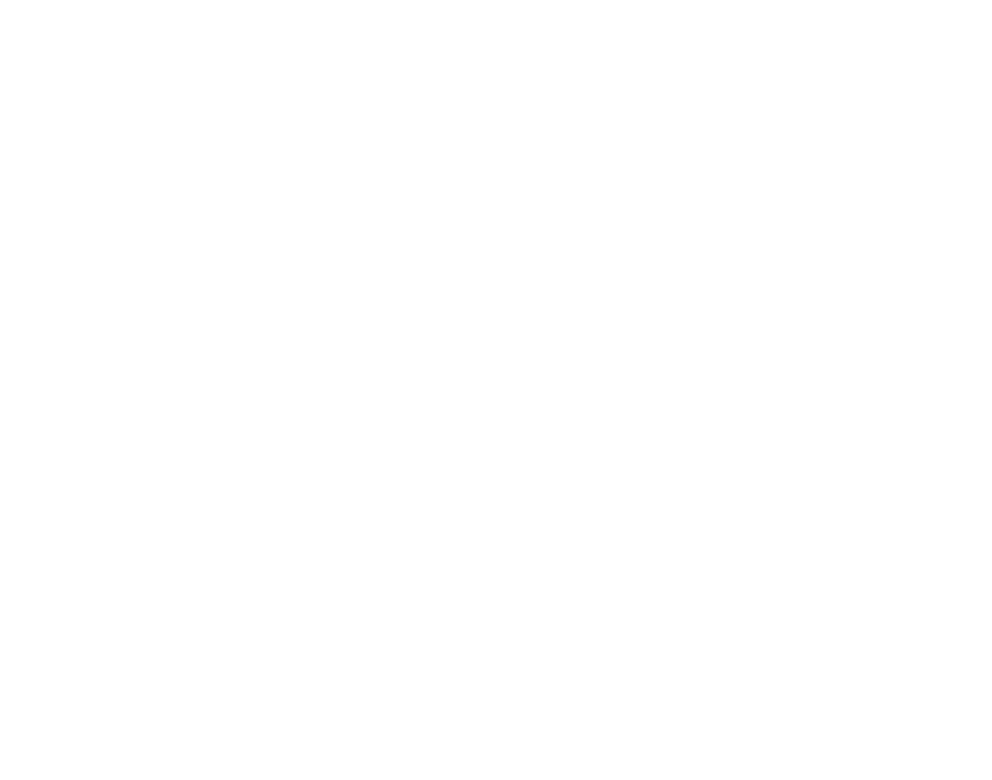 Logo Skynova